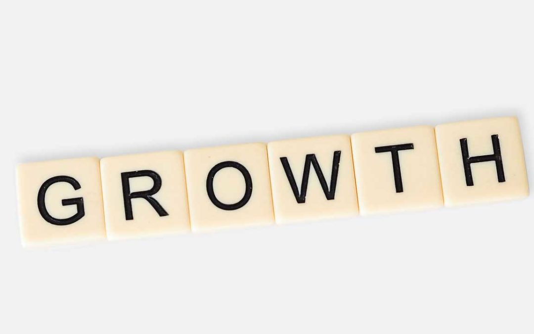 How to manage company growth