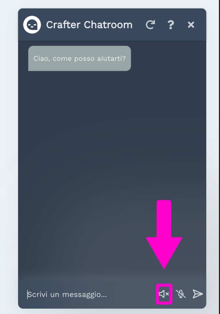 come abilitare altoparlante chatbot