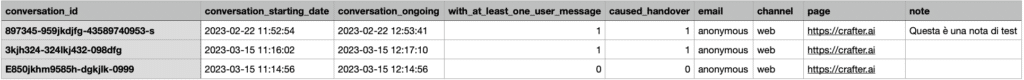 come viene visualizzato il report della trascrizioni messaggi del chatbot dopo il download