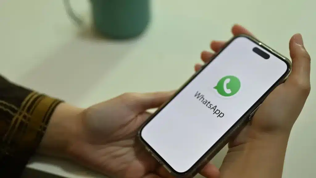 whatsapp chatbot use cases
